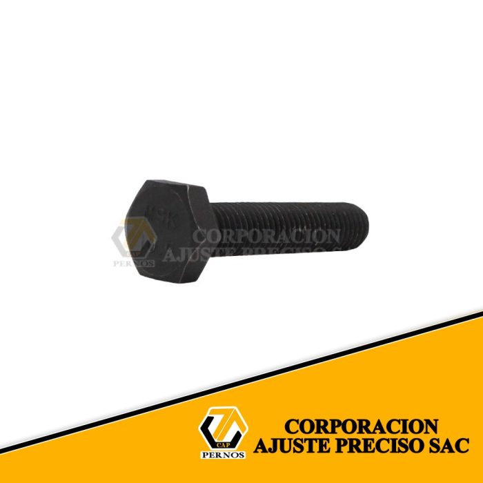 M10x50 (Protegida)