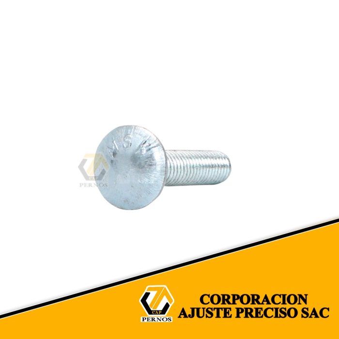 coche-zincado-5.16x1.1.2 (Protegida)